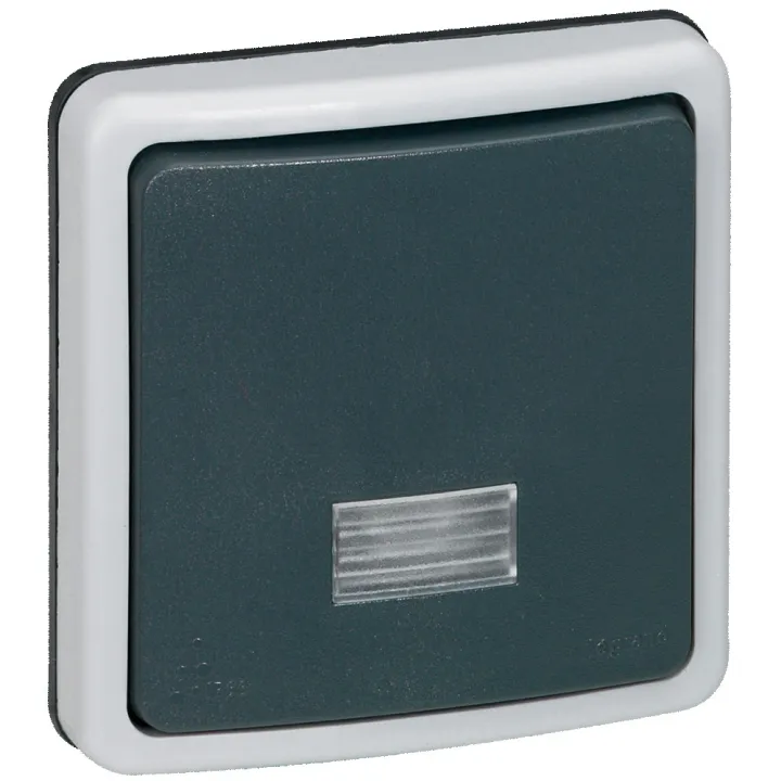 Interrupteur Ou Va-Et-Vient Étanche À Voyant 10A Plexo Ip66 Composable - Gris