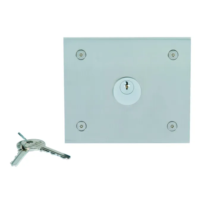 Boîtier Encastrement Inox 110X130 Pour T25Plus