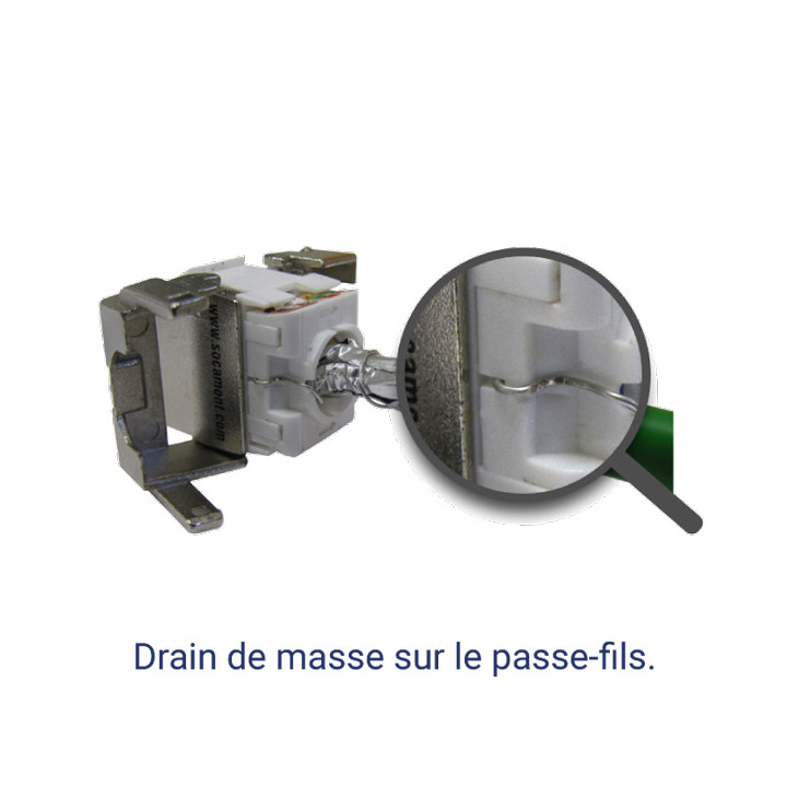 JACK COCCINELLE RJ45 CAT6A FTP 10 GIGA - AWG22-23