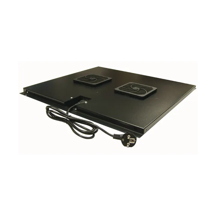 Unite De 2 Ventilateurs Pour Baie Brassage Ligne 500 Prof 800