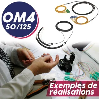 Câble Trunk Mbo Renf 6Fo Int/Ext-Lsoh Om4 50/125 Sc/Sc 2Chaus. Lg 115 M