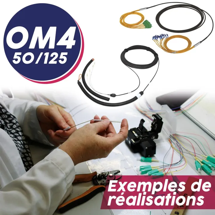 Câble Trunk Mbo Renf 6Fo Int/Ext-Lsoh Om4 50/125 Sc/Sc 2Chaus. Lg 115 M