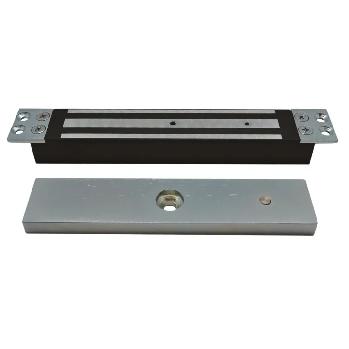 Ventouse Encastrée 300 Kg Ou 600 Lbs, Avec Contre Plaque, Alimentation 12/24 Vcc