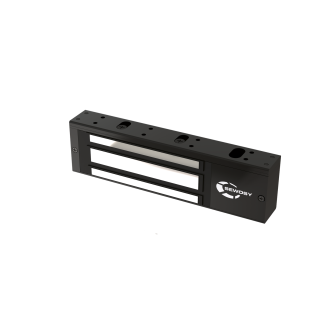 Ventouse Applique Noire - 500 Dan - 12-24V Dc - Contact*