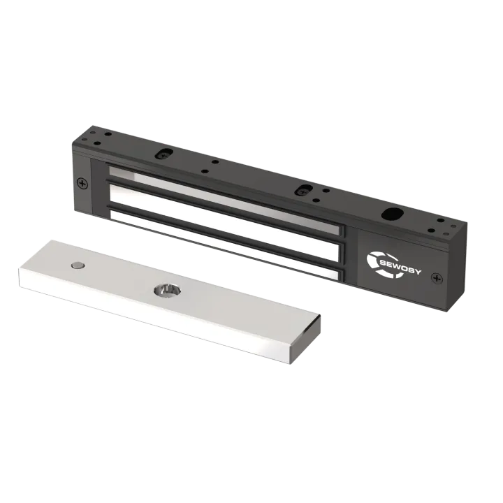 Ventouse Applique Noire - 300 Dan - 12-24V Dc - Contact