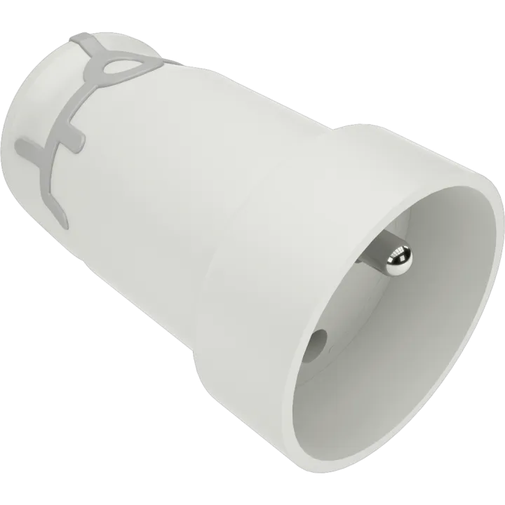 16A Femelle Coiffe Blanche