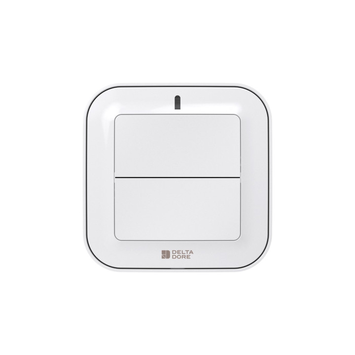 Tyxia 2310 | Commande Radio Murale Pour Éclairage Ou Automatisme