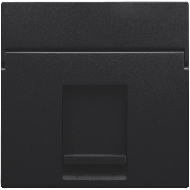 ENJOLIVEUR DATA 1X RJ