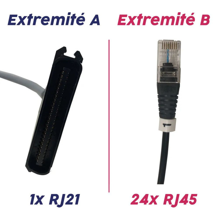 CORDON PIEUVRE SYT POUR MITEL AG4124 1 RJ21 vers 24 RJ45 3M IQ06-428