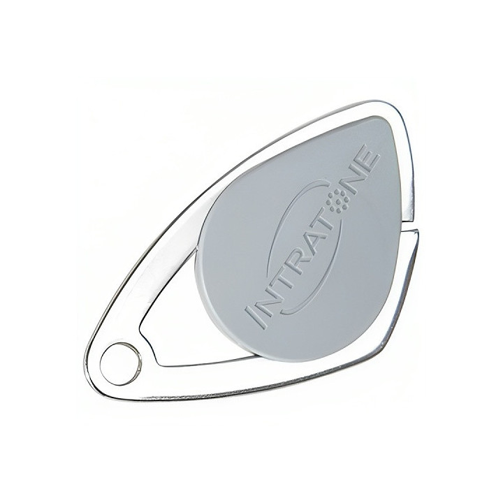 Badge Électronique Mifare - Insert Inox Gravé - Gris