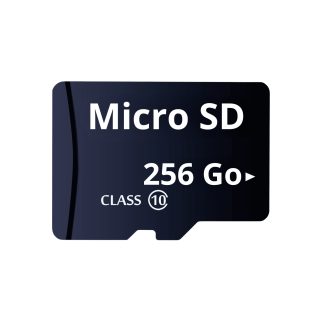 Carte Sd 256 Go