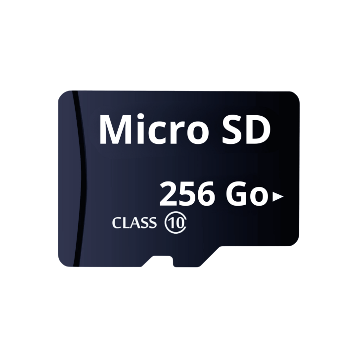 Carte Sd 256 Go