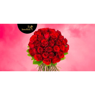 Bouquet 40 roses rouges offert - le grand jeu