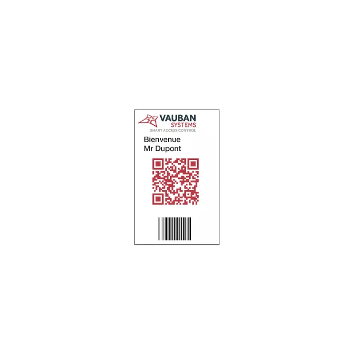 Mod Gestion De Code Aléatoire Pour Visor-Livré+