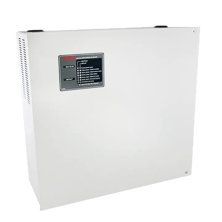 Aes Asd 24/2 Avec 2 Batteries 12V/12Ah