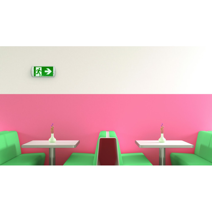 Luminaire D'Évacuation 100% Led Pour Source Centrale. Alim 24-48