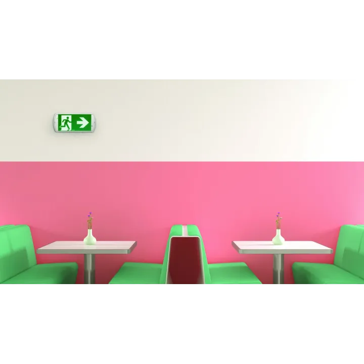 Luminaire D'Évacuation 100% Led Pour Source Centrale. Alim 24-48