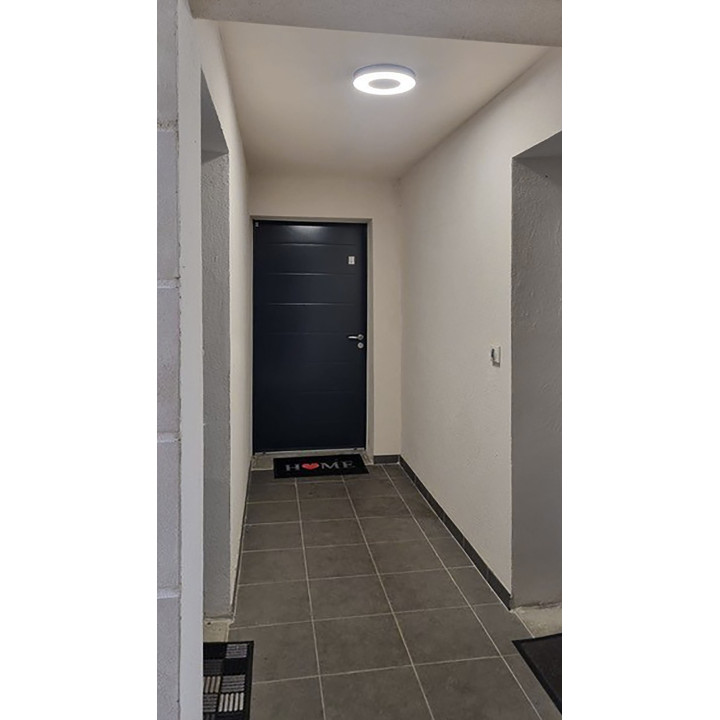 Applique Aspus 1 Sensor Plu 30W 3000Lm Ip54 Anthracite