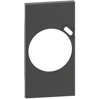 Plastron De Finition Living Now Pour Prise Surface Avec Prise Type-C - Noir
