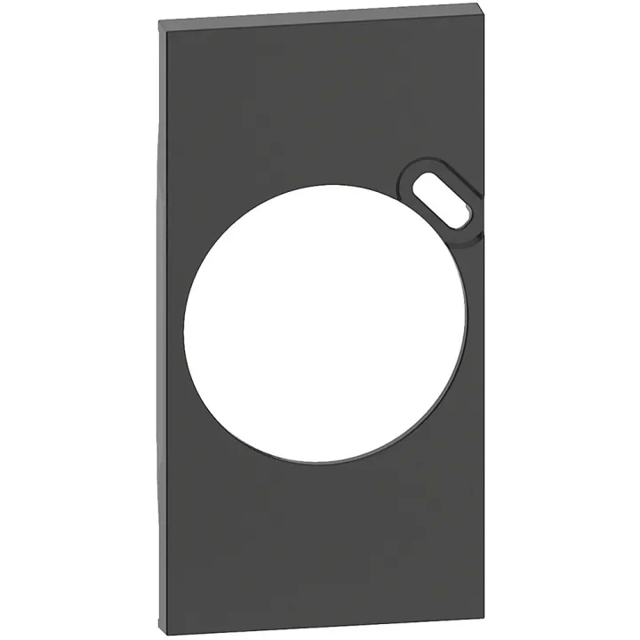 Plastron De Finition Living Now Pour Prise Surface Avec Prise Type-C - Noir
