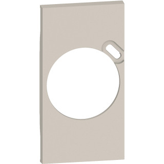 Plastron de finition Living Now pour prise Surface avec prise Type-C - sable
