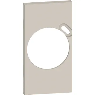 Plastron De Finition Living Now Pour Prise Surface Avec Prise Type-C - Sable