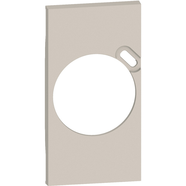 Plastron De Finition Living Now Pour Prise Surface Avec Prise Type-C - Sable