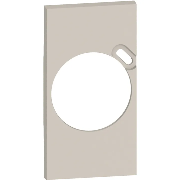 Plastron De Finition Living Now Pour Prise Surface Avec Prise Type-C - Sable