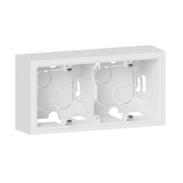 Cadre Saillie 2 Postes Dooxie Finition Blanc