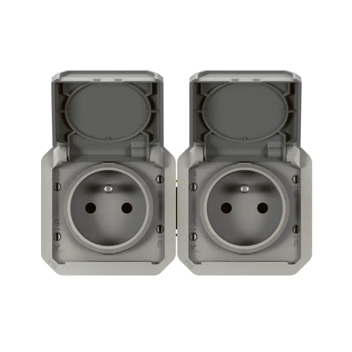 Prise De Courant 2X2P+T Horizontale Plexo Composable Gris