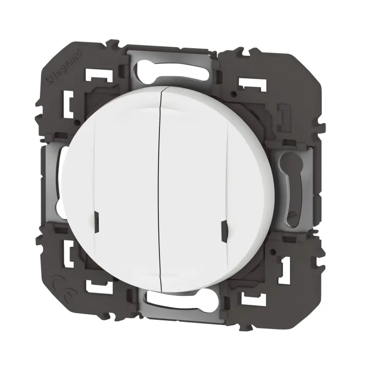 Interrupteur Double Avec Neutre Connecté Dooxie With Netatmo Sans Plaque Blanc