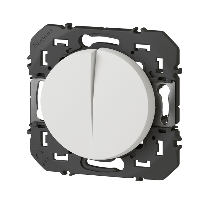 Double Interrupteur Ou Va-Et-Vient Dooxie 10Ax 250V~ Finition Blanc