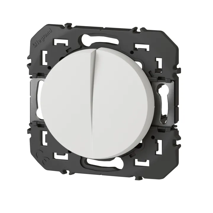 Double Interrupteur Ou Va-Et-Vient Dooxie 10Ax 250V~ Finition Blanc