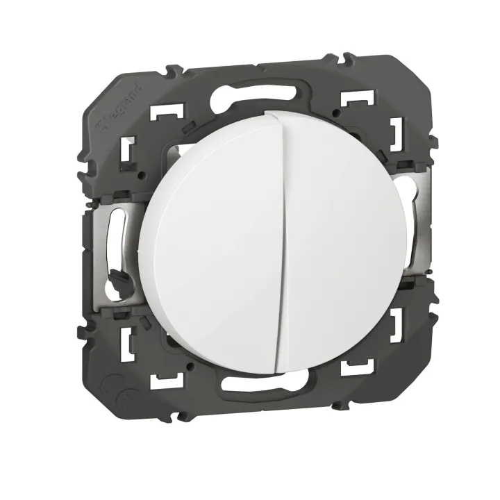 Double Interrupteur Ou Va-Et-Vient Dooxie 10Ax 250V~ Finition Blanc
