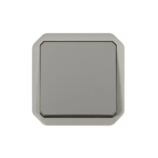 Interrupteur Ou Va-Et-Vient 10Ax 250V Plexo Composable Gris