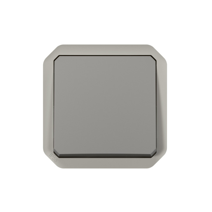 Interrupteur Ou Va-Et-Vient 10Ax 250V Plexo Composable Gris
