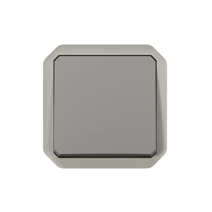 Interrupteur Ou Va-Et-Vient 10Ax 250V Plexo Composable Gris