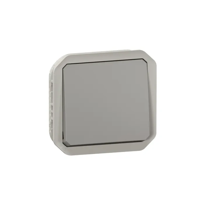 Interrupteur Ou Va-Et-Vient 10Ax 250V Plexo Composable Gris