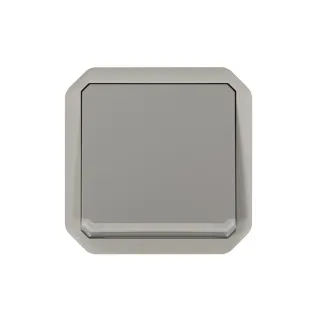 Interrupteur Ou Va-Et-Vient Lumineux 10Ax 250V Plexo Composable Gris