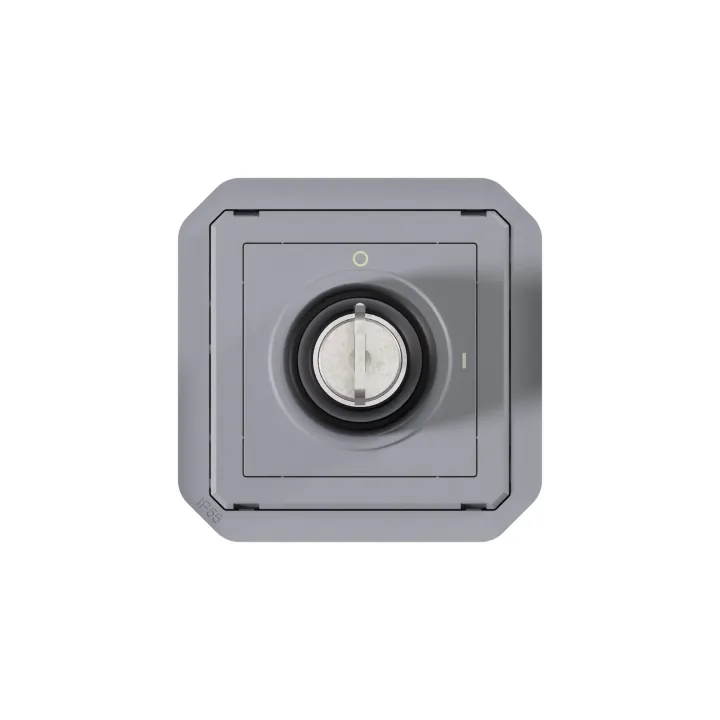 Interrupteur À Badge Ronis 2 Positions Plexo Composable Gris