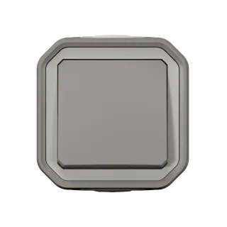 Interrupteur Ou Va-Et-Vient 10Ax 250V Plexo Complet Saillie Gris