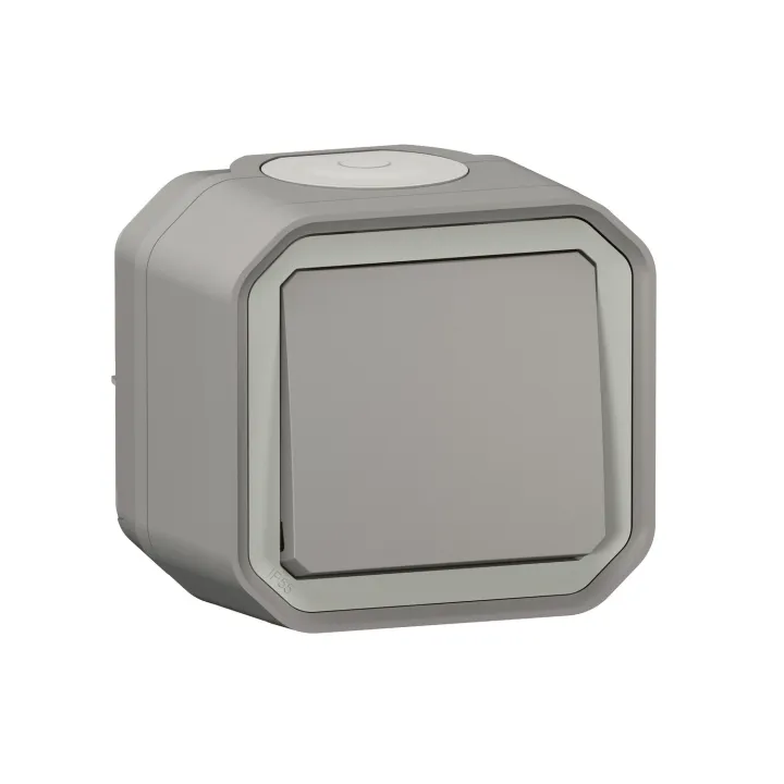 Interrupteur Ou Va-Et-Vient 10Ax 250V Plexo Complet Saillie Gris