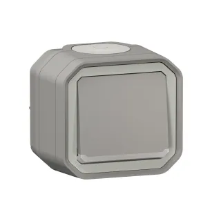 Interrupteur Ou Va-Et-Vient Témoin 10Ax 250V Plexo Complet Saillie Gris