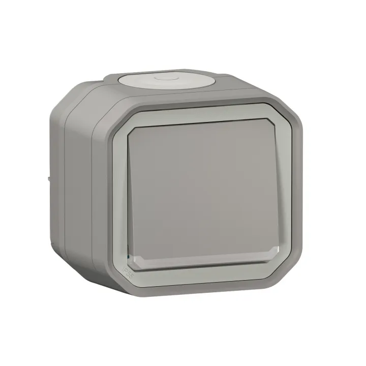 Interrupteur Ou Va-Et-Vient Témoin 10Ax 250V Plexo Complet Saillie Gris
