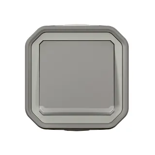 Interrupteur Ou Va-Et-Vient Lumineux 10Ax 250V Plexo Complet Saillie Gris