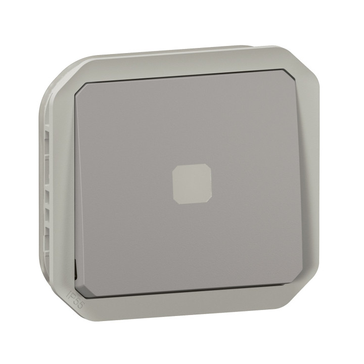 Interrupteur Temporisé Lumineux Plexo Composable Gris