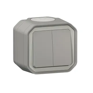Commande Double Interrupteur Ou Poussoir Plexo Complet Saillie Gris