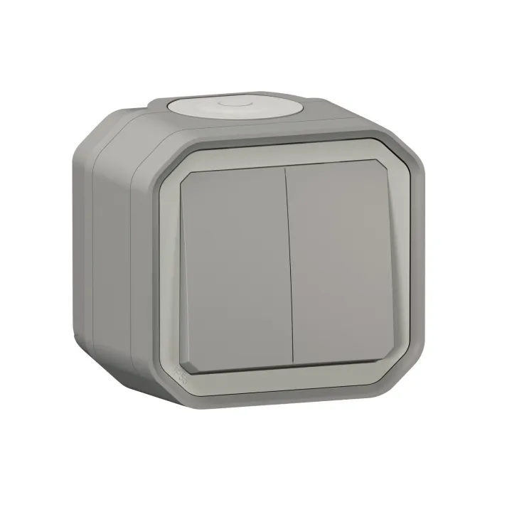 Commande Double Interrupteur Ou Poussoir Plexo Complet Saillie Gris