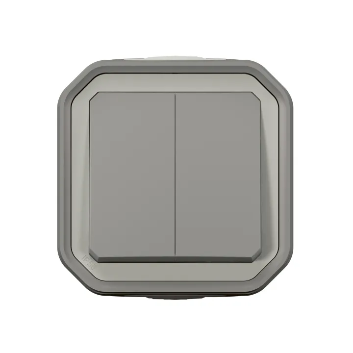 Commande Double Interrupteur Ou Poussoir Plexo Complet Saillie Gris