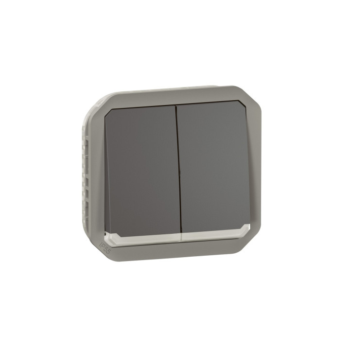 Commande Double Interrupteur Ou Poussoir Lumineux Plexo Composable Anthracite